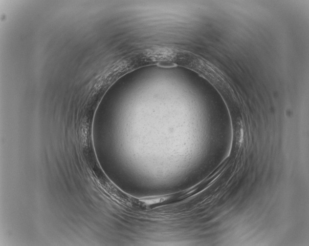 X0000059100604200510172122