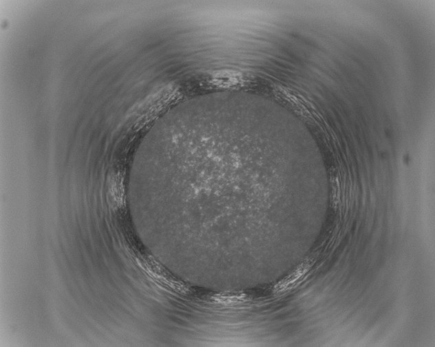 X0000059100606200510172122