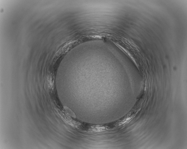 X0000059100607200510172122