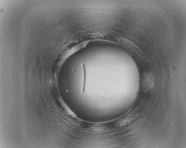 X0000059100608200510172122