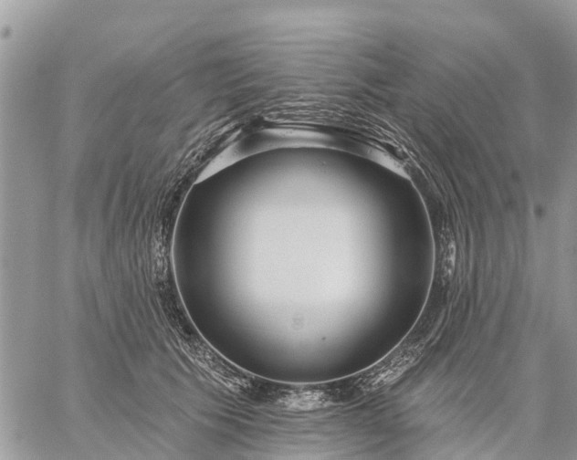 X0000059100609200510172121