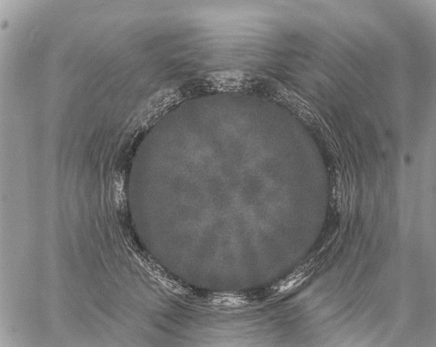 X0000059100610200510172121