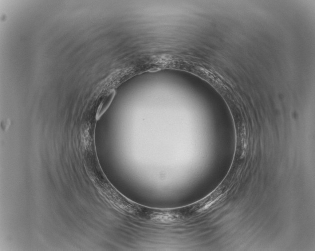 X0000059100611200510172121