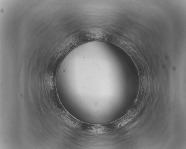 X0000059100612200510172121