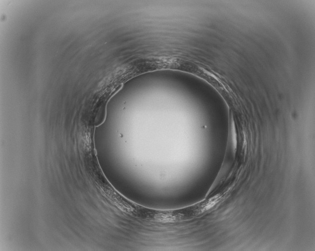 X0000059100613200510172121