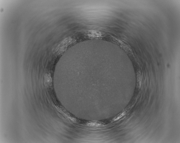 X0000059100614200510172121