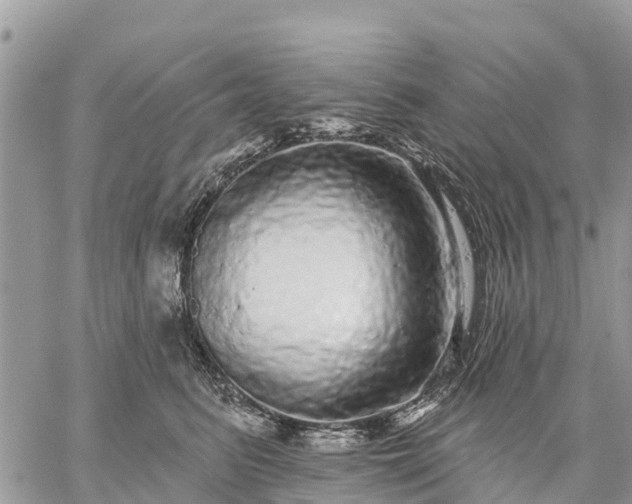 X0000059100615200510172121