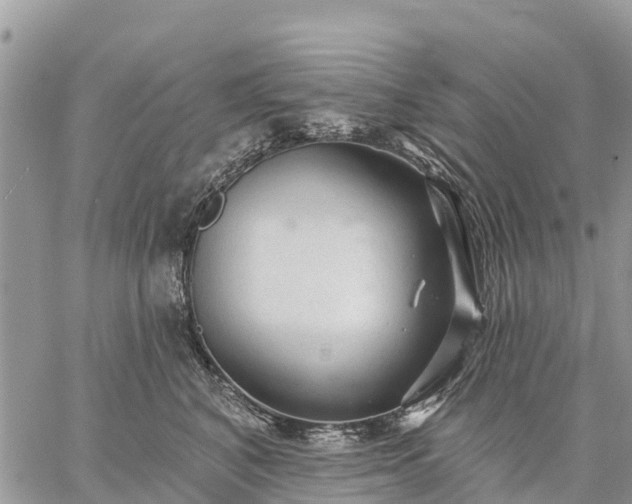 X0000059100616200510172121