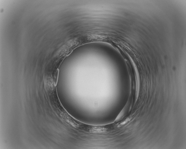 X0000059100617200510172121