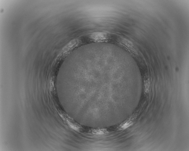 X0000059100618200510172121