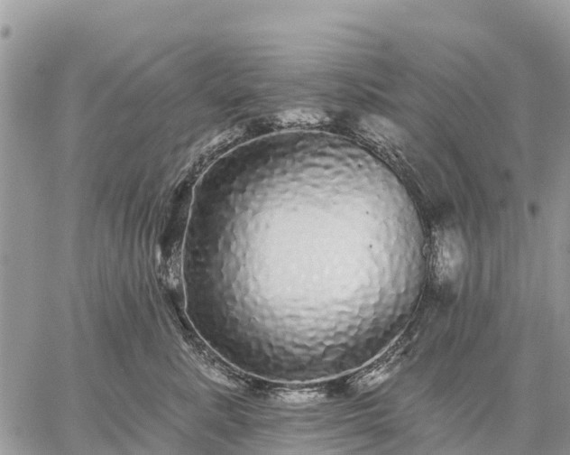 X0000059100619200510172121