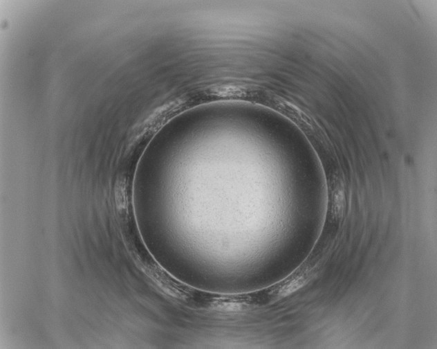 X0000059100620200510172121