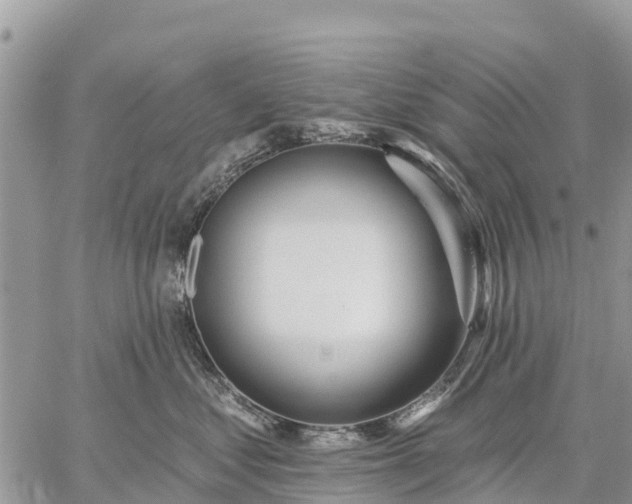 X0000059100621200510172121