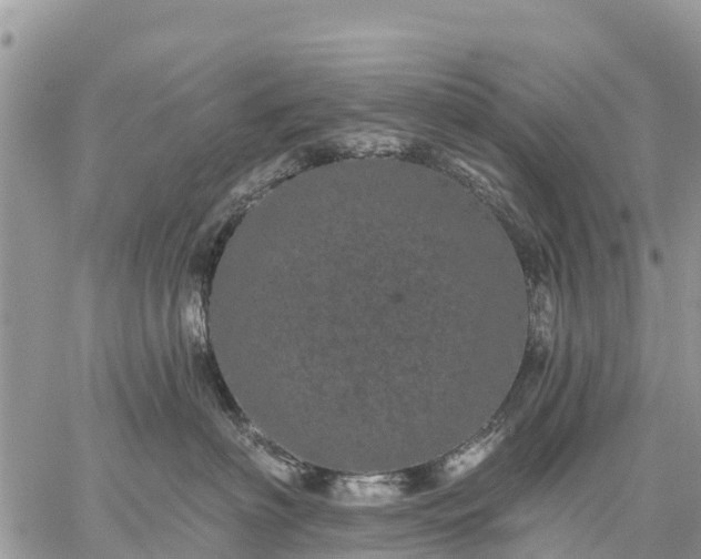 X0000059100622200510172121