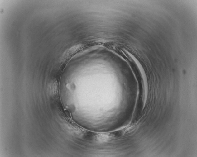 X0000059100623200510172121