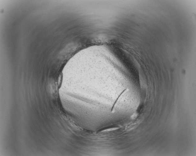 X0000059100624200510172121