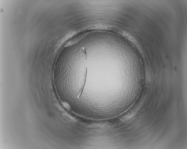 X0000059100625200510172120