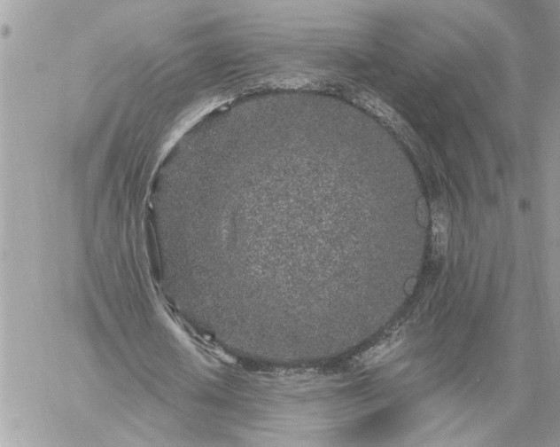 X0000059100626200510172120