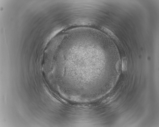 X0000059100627200510172120