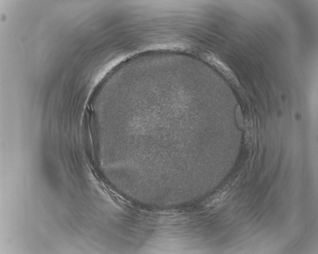 X0000059100628200510172121