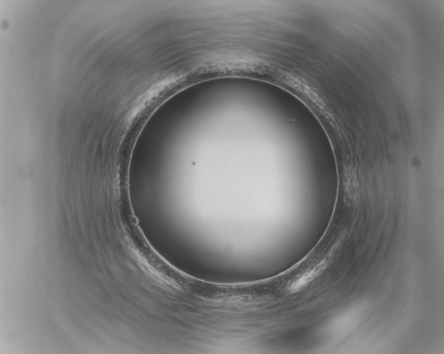 X0000059100629200510172121