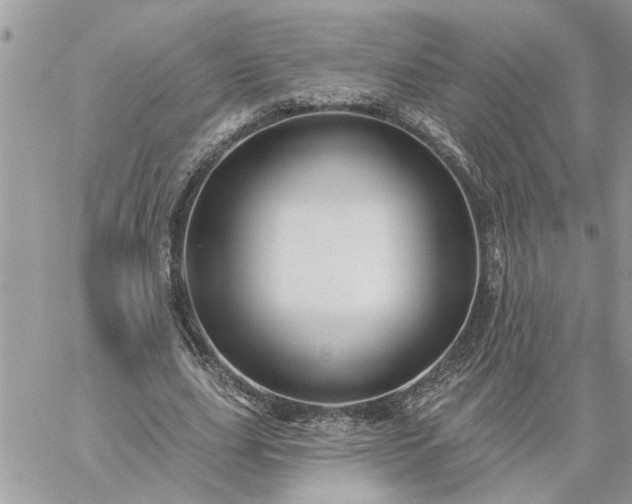 X0000059100631200510172121