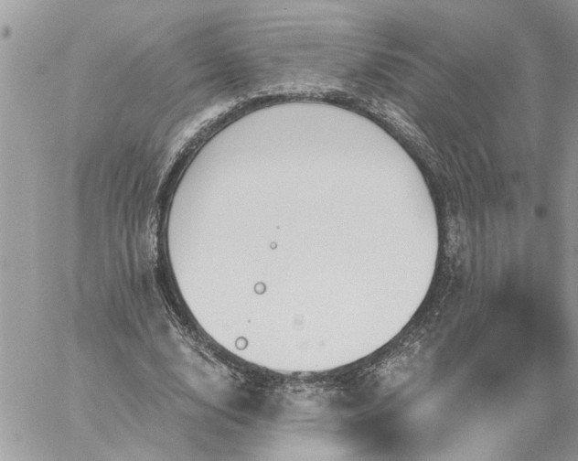 X0000059100632200510172121