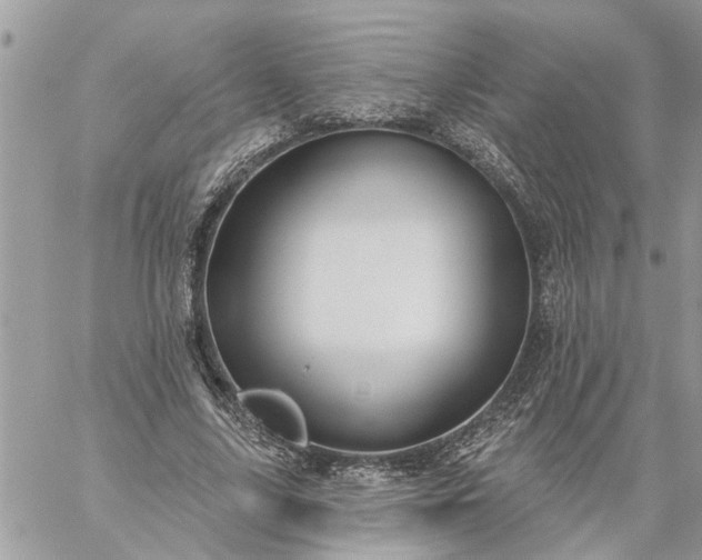 X0000059100635200510172121