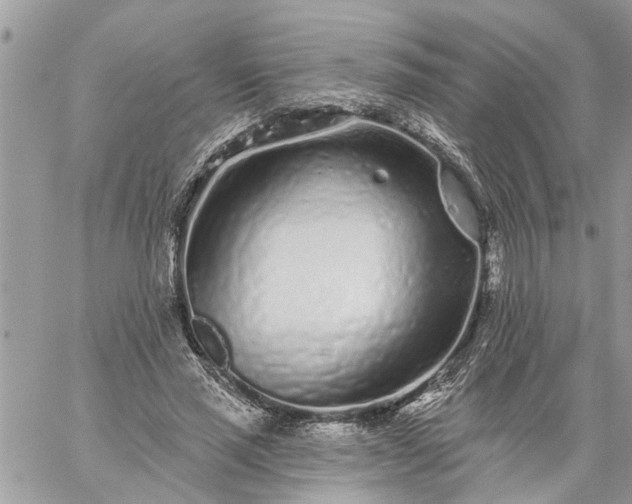 X0000059100637200510172121