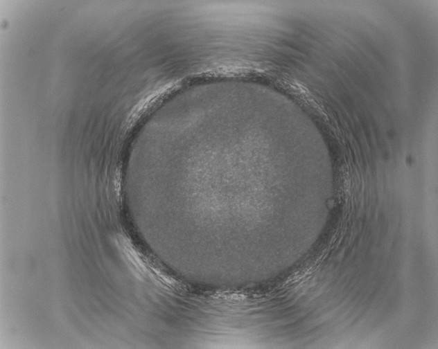 X0000059100640200510172121