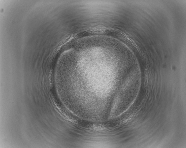 X0000059100641200510172121