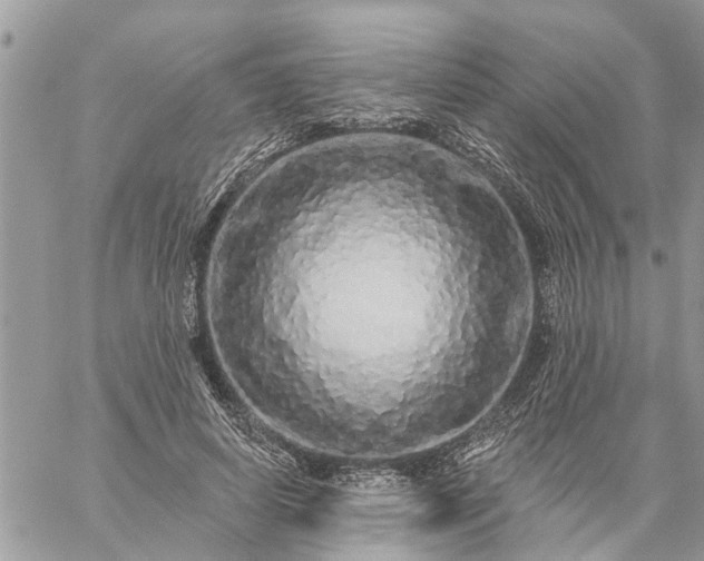 X0000059100642200510172121