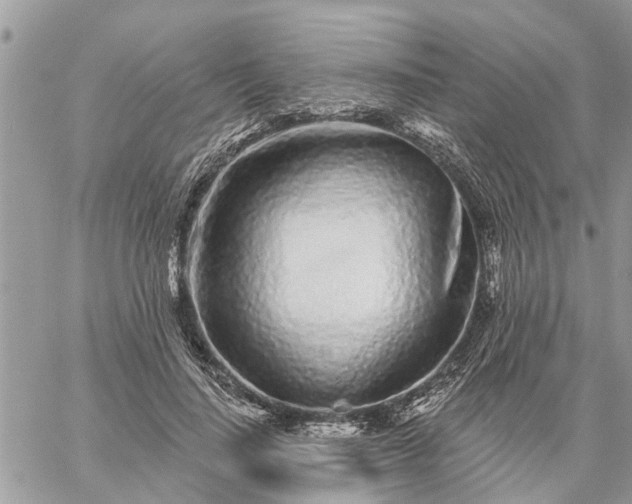 X0000059100644200510172121