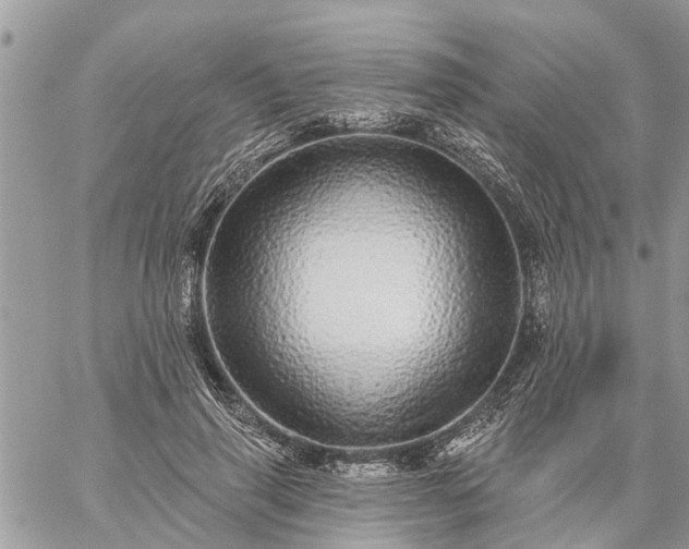 X0000059100645200510172121