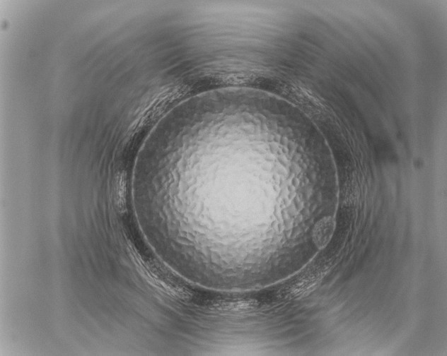 X0000059100646200510172121