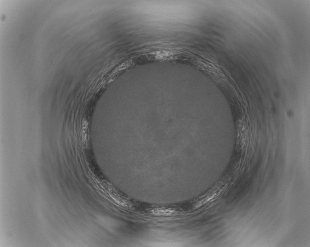 X0000059100650200510172121