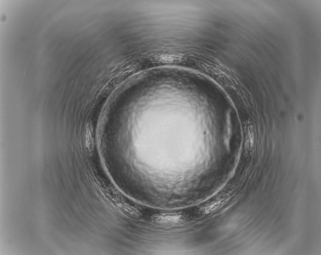 X0000059100651200510172121