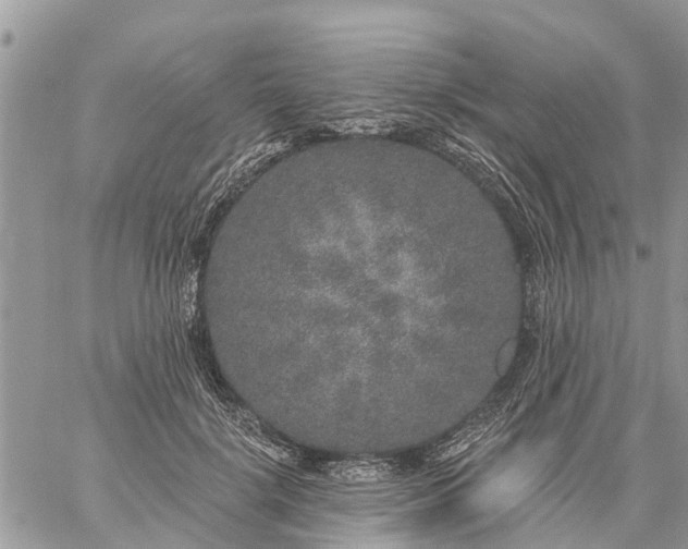 X0000059100652200510172121