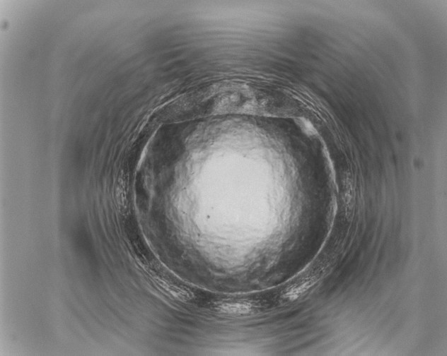 X0000059100653200510172121