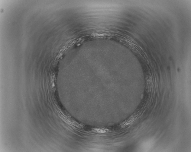 X0000059100654200510172121