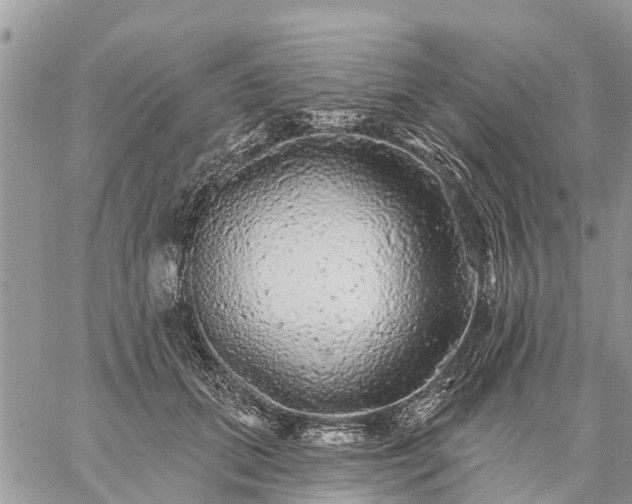 X0000059100655200510172121