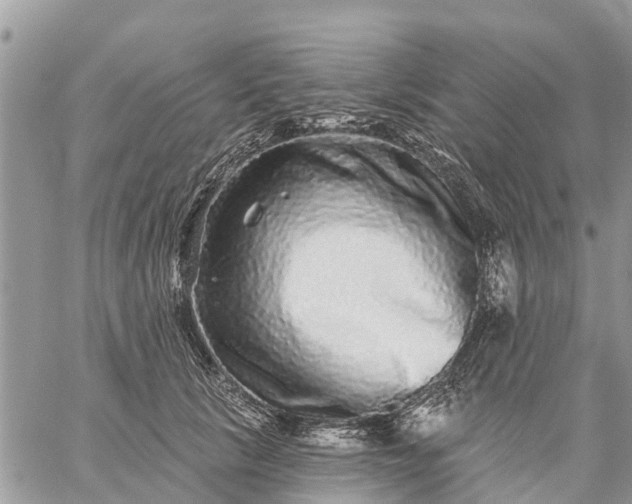 X0000059100657200510172121