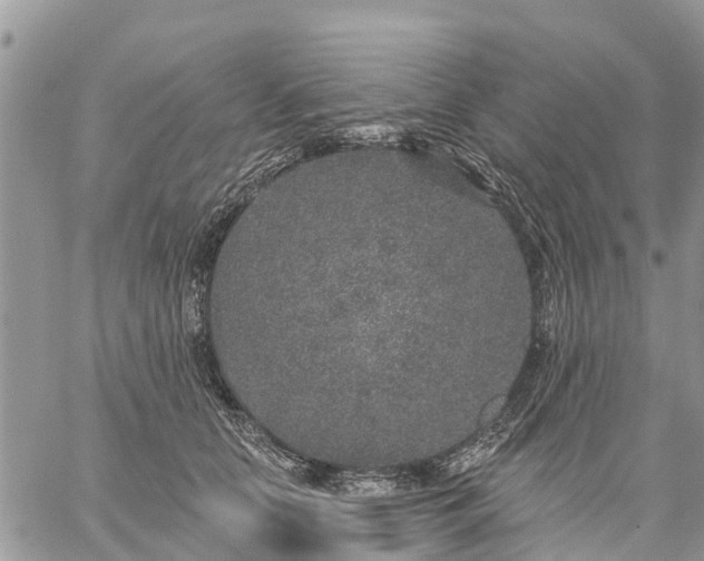 X0000059100658200510172121