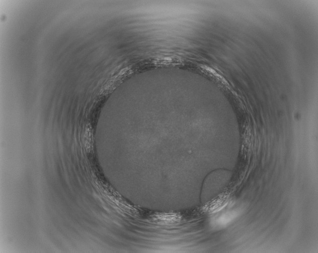 X0000059100659200510172121