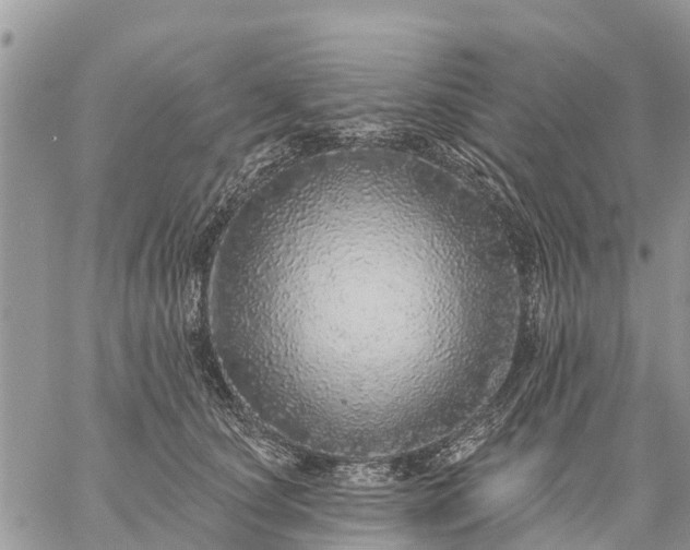 X0000059100660200510172121