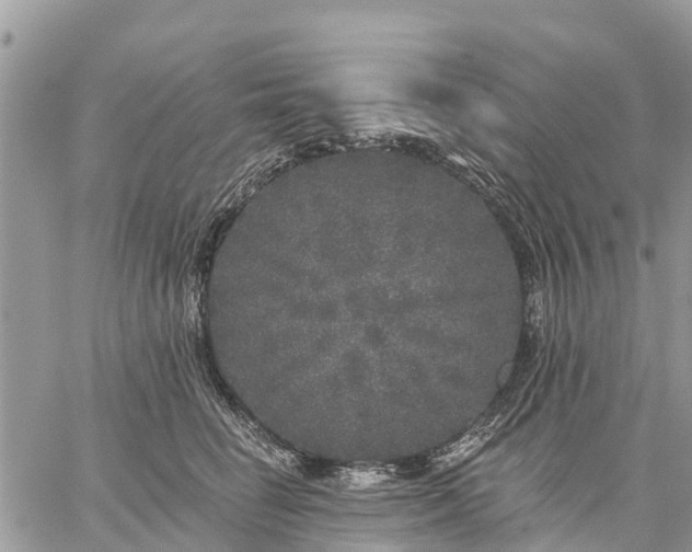 X0000059100662200510172121