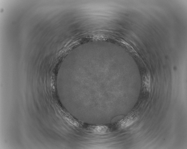 X0000059100663200510172121