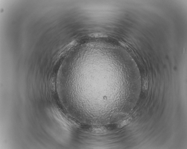 X0000059100666200510172121