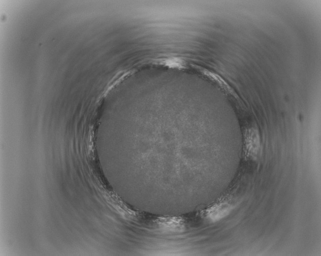 X0000059100667200510172121