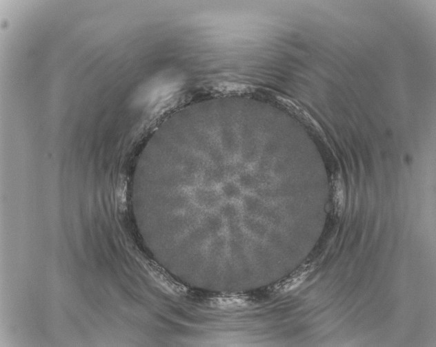 X0000059100668200510172121